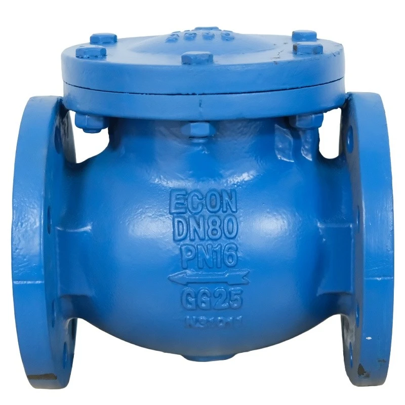 BS 5153 Swing Check Valve BS 5153 Swing Check Valve